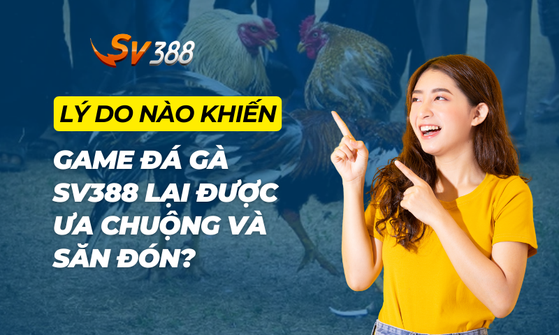 Tại sao game đá gà SV388 lại được ưa chuộng và săn đón?